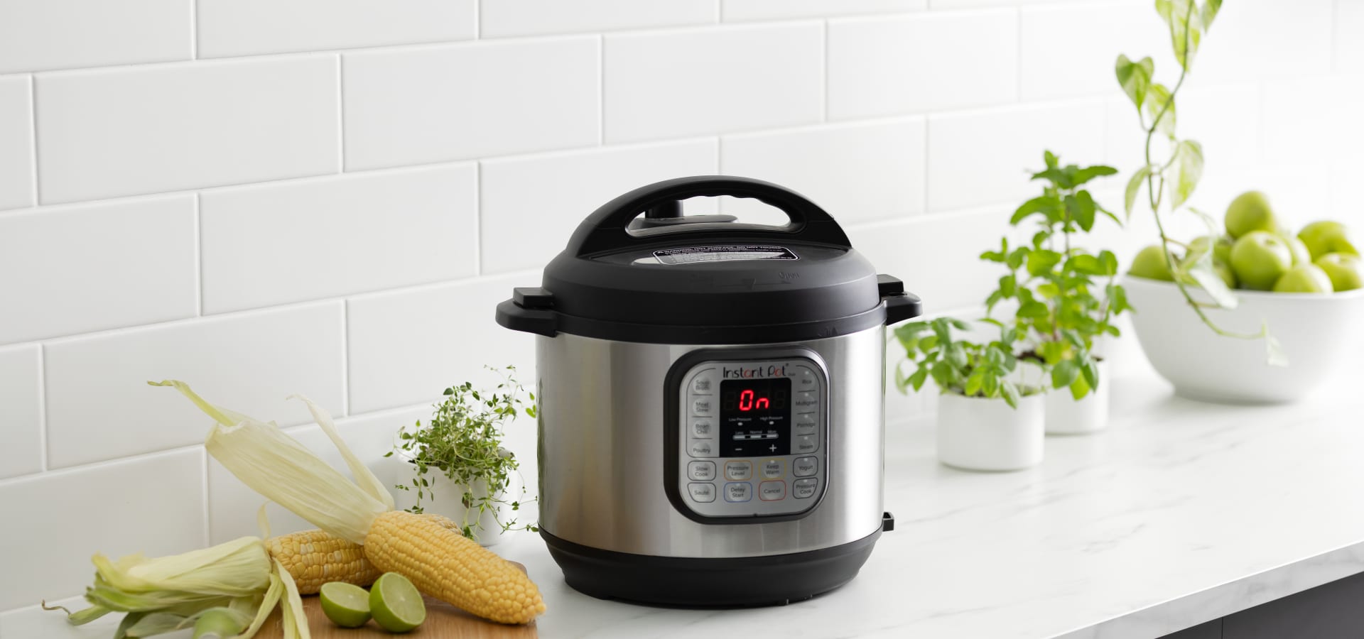 Electric Pressure Cooker Buying Guide - From Val's Kitchen